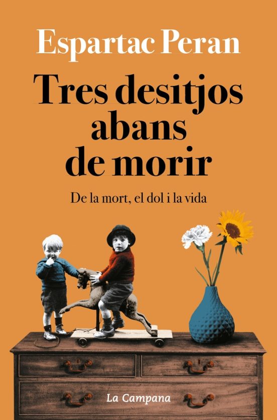 Tres Desitjos Abans De Morir