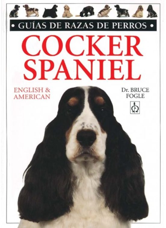 El Cocker Spaniel Ingles
