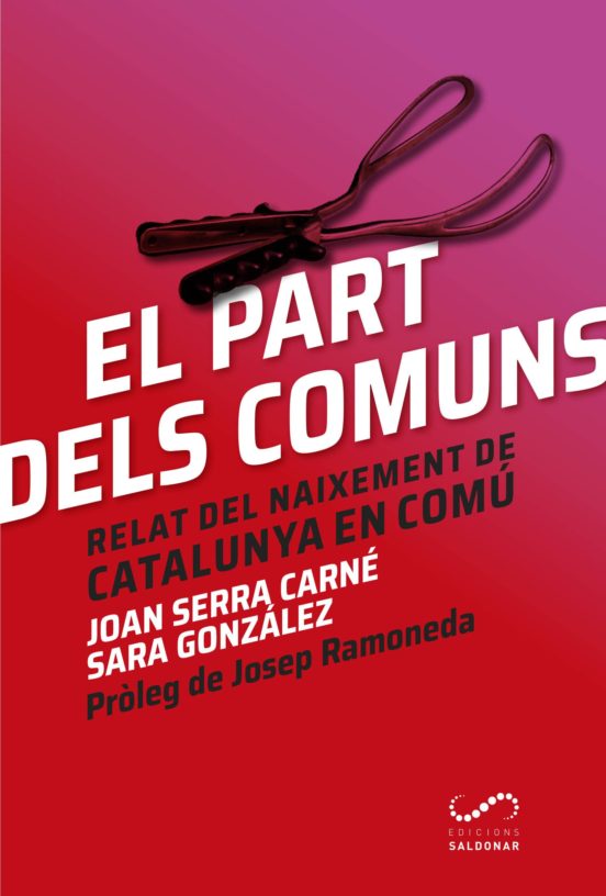 El Part Dels Comuns: Relat Del Naixement De Catalunya En Comu