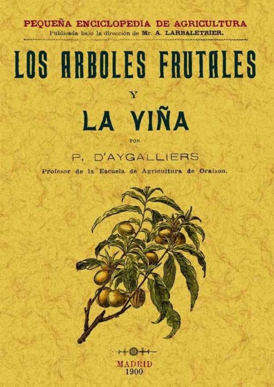 Los Arboles Frutales Y La Viña