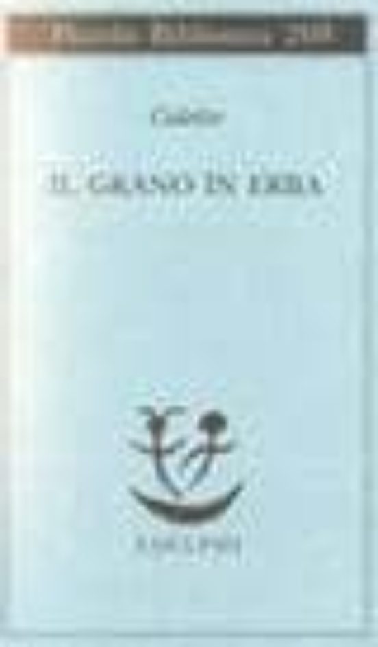 Il Grano In Erba