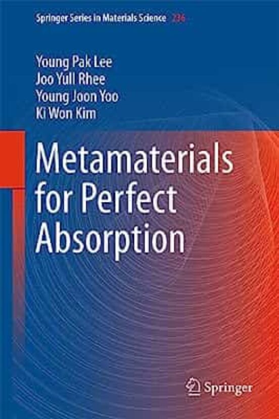 Metamaterials For Perfect Absorption : 236
