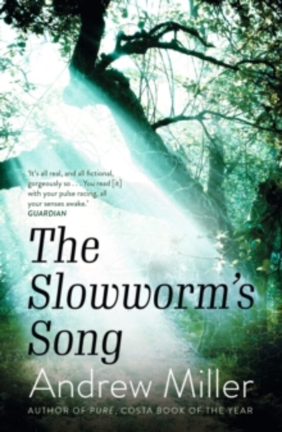 The Slowworm S Song