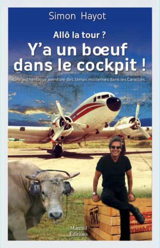 Allo La Tour Y A Un Boeuf Dans Le Cockpit