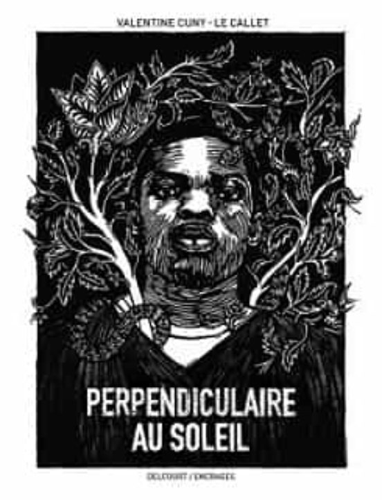 Perpendiculaire Au Soleil