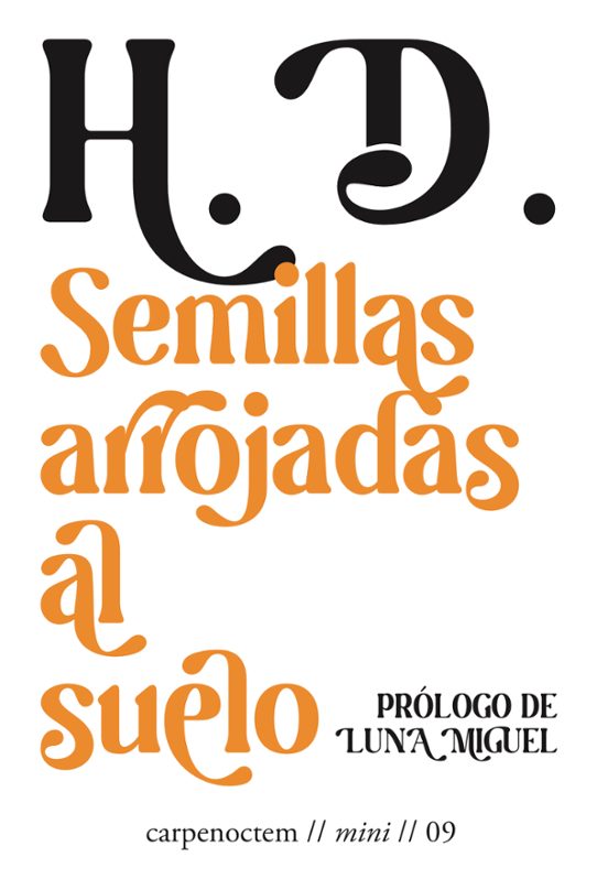 Semillas Arrojadas Al Suelo