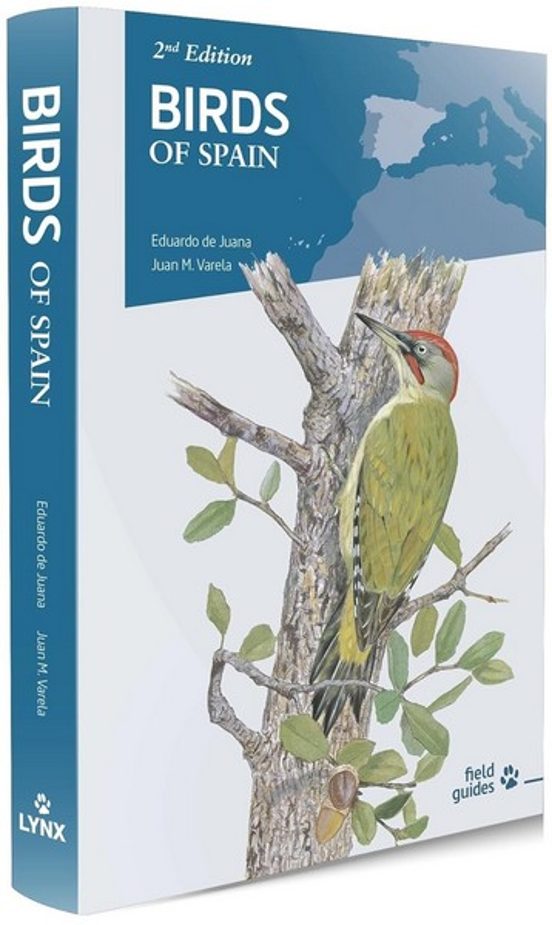 Birds Of Spain