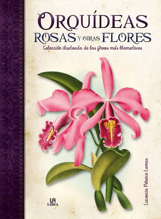 Orquideas Rosas Y Otras Flores