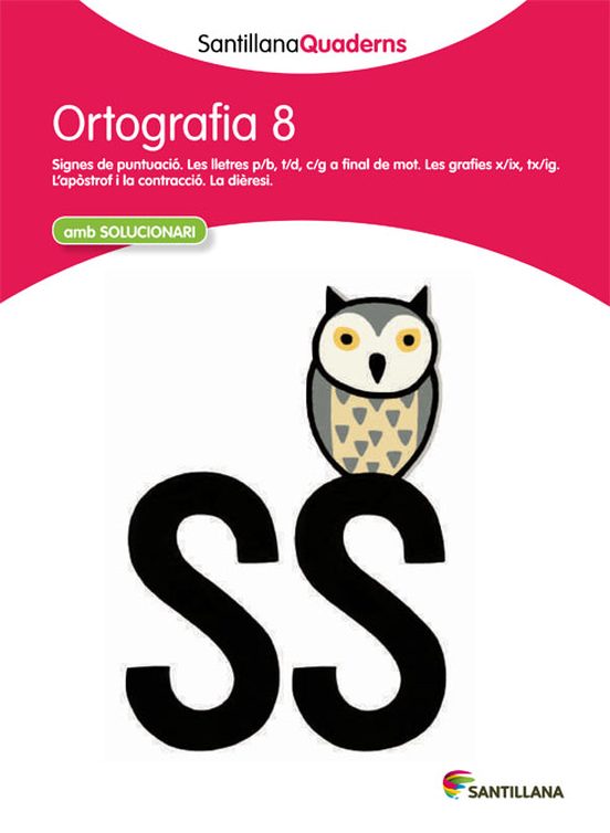 Ortografia 8