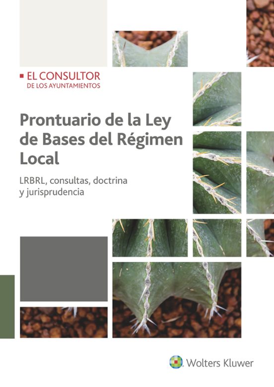Prontuario De La Ley De Bases Del Regimen Local: Lrbrl Consultas Doct