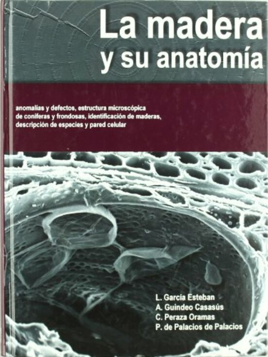 La Madera Y Su Anatomia