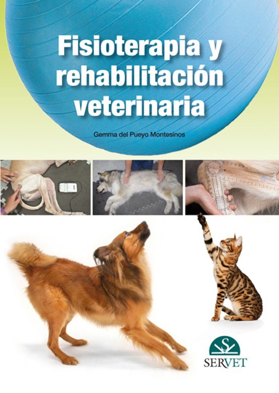 Fisioterapia Y Rehabilitación