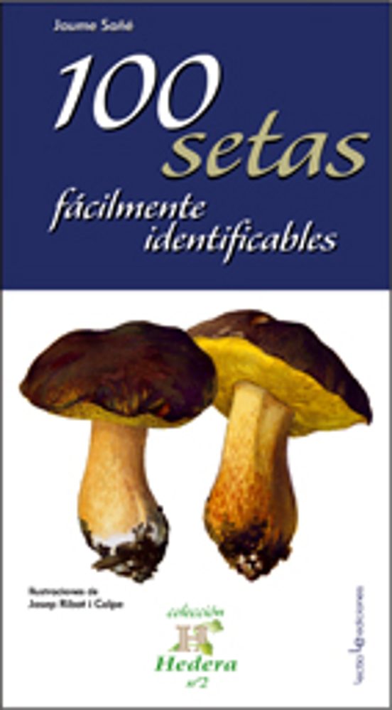 100 Setas Fácilmente Identificables