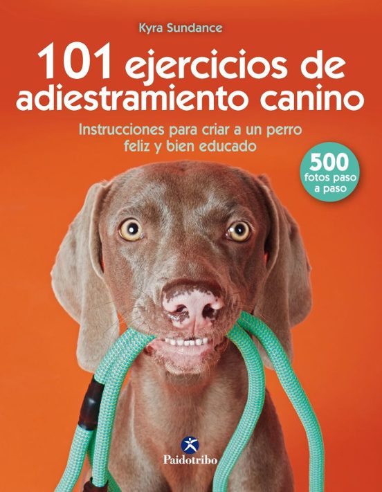 101 Ejercicios De Adiestramiento Canino