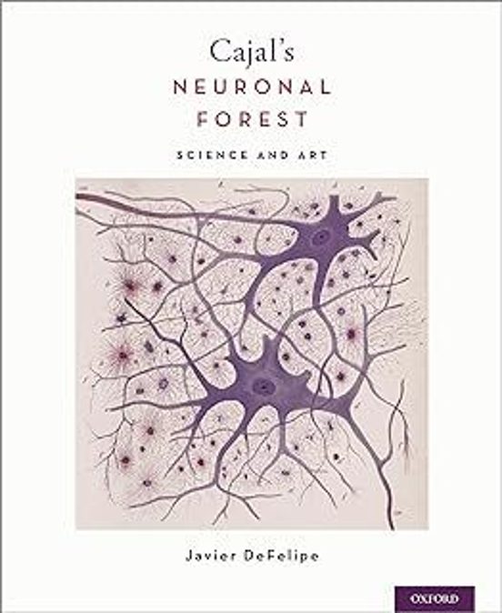 Cajal S Neuronal Forest: Science And Art