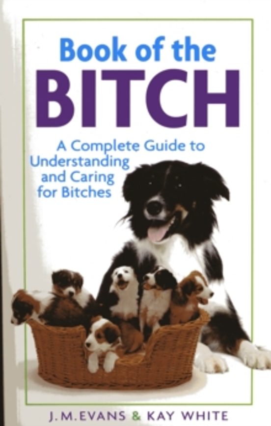 Book Of The Bitch