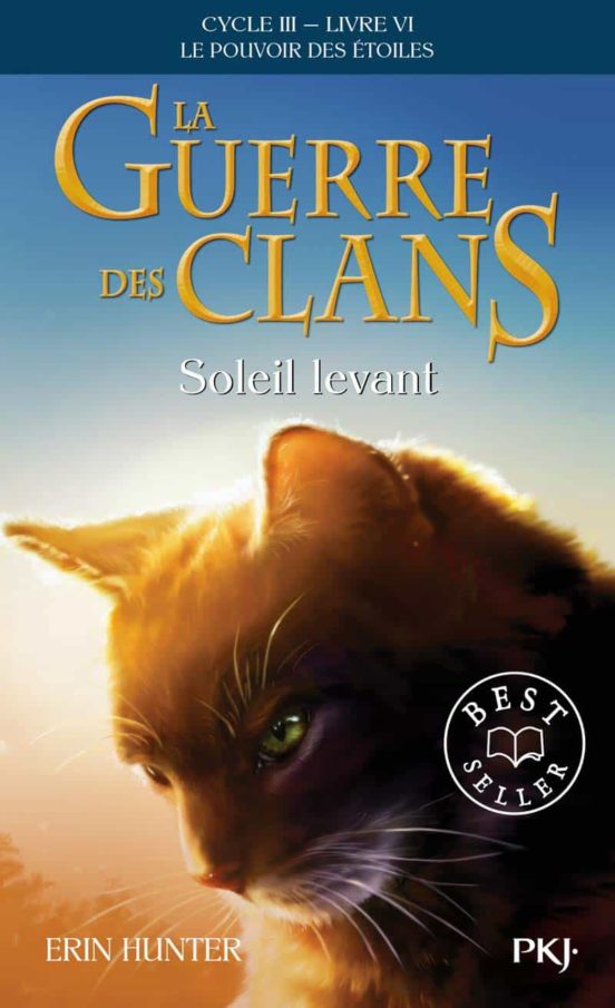La Guerre Des Clans : Cycle 3 Le Pouvoir Des Étoiles . Volume 6