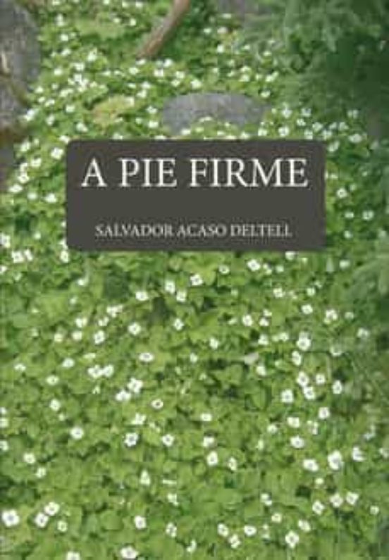 A Pie Firme