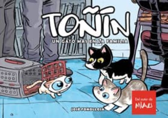 Toñín. Un Gato Más En La Familia