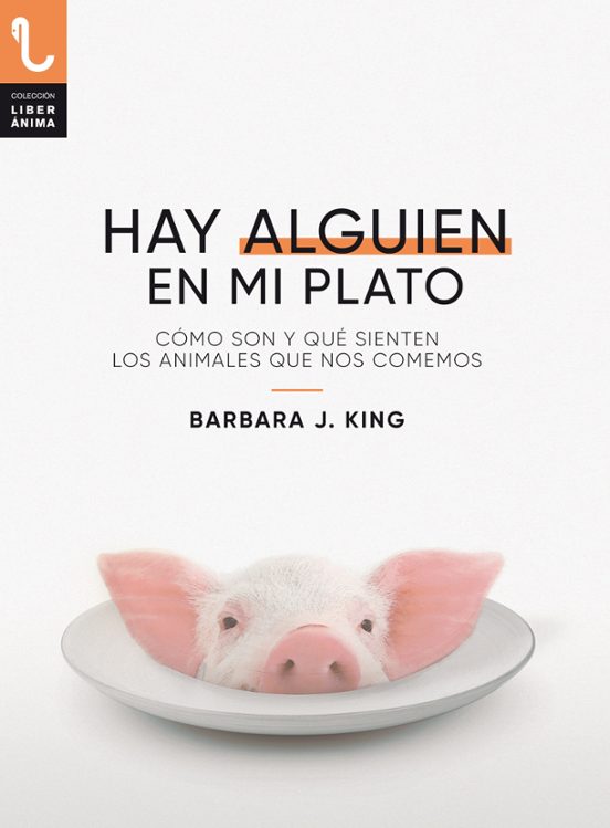 Hay Alguien En Mi Plato