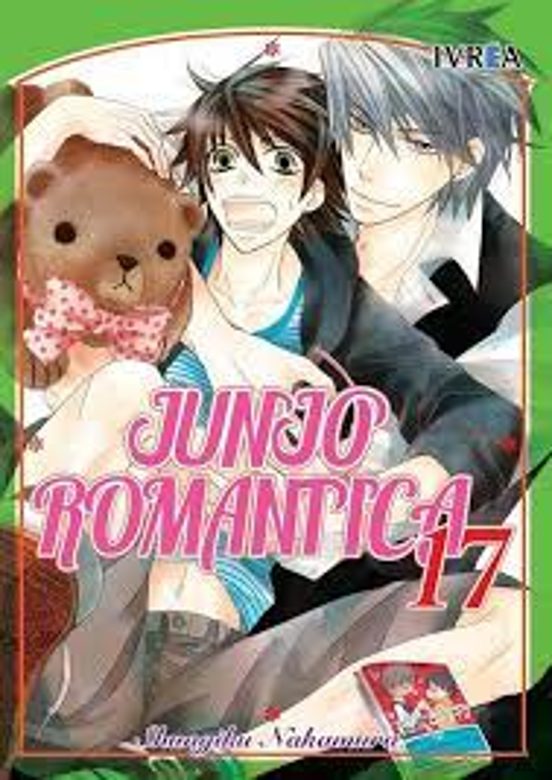 Junjo Romantica 17