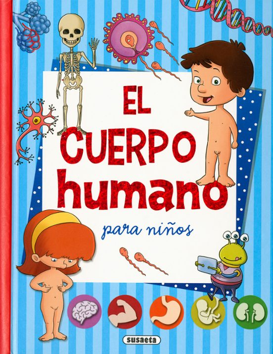 El Cuerpo Humano Para Niños