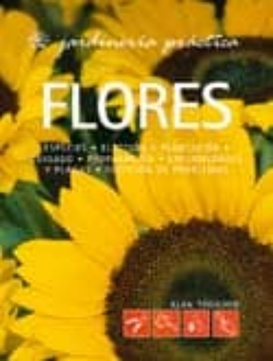 Flores