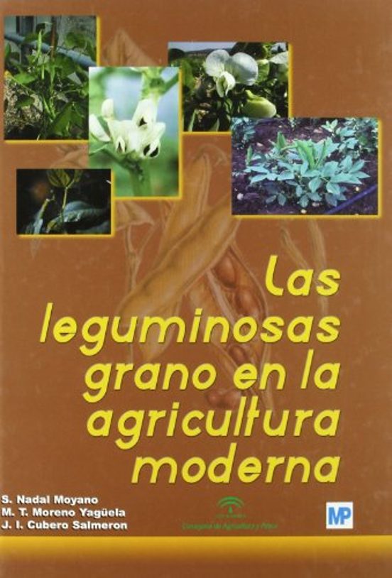 Las Leguminosas Grano En La Agricultura Moderna