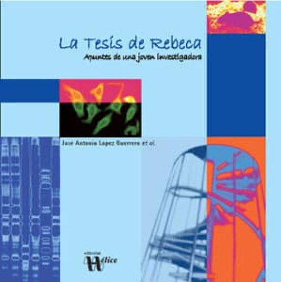 La Tesis De Rebeca Apuntes De Una Joven Investigadora