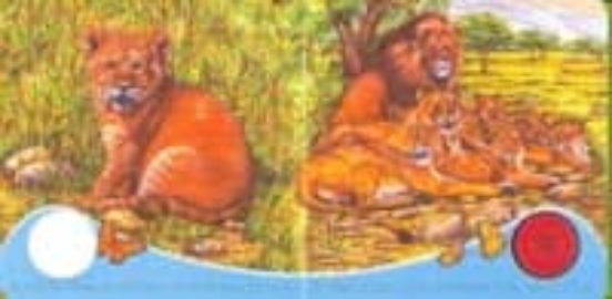 El Leon Dice ¡groar!: Sonido De Los Animales