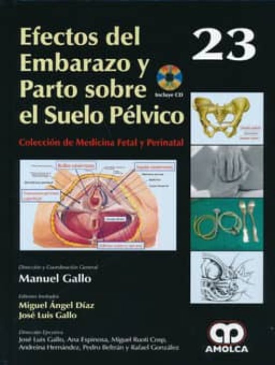 Efectos Del Embarazo Y Parto Sobre El Suelo Pelvico + Dvd