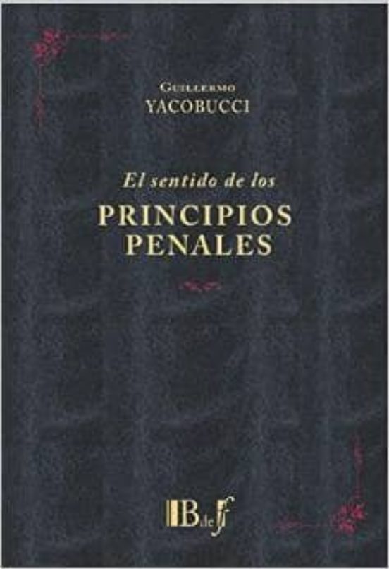 Sentido De Los Principios Penales