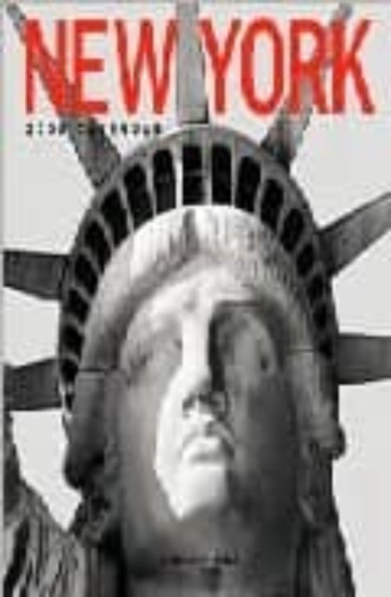 New York 2008