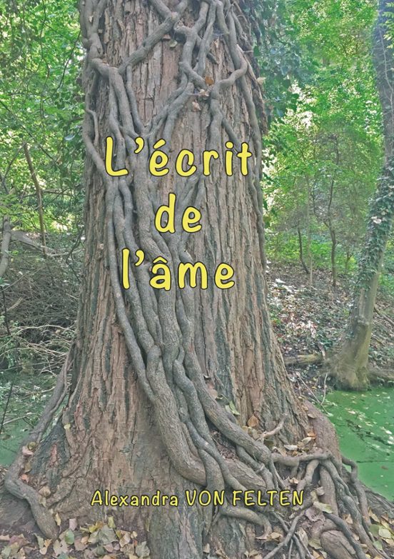L Ecrit De L Me