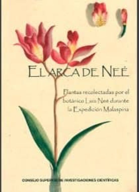 El Arca De Neé Plantas Recolectadas Por El Botánico Luis Neé Dura Nte