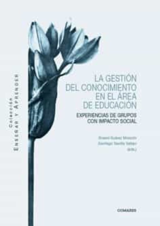 Gestión Del Conocimiento En El Área De Educación.experiencias De Grupo
