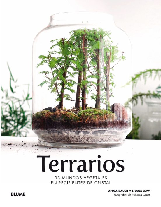 Terrarios: 33 Mundos Vegetales En Recipientes De Cristal