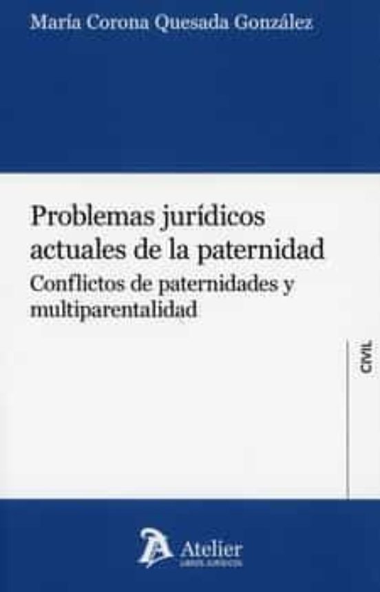 Problemas Jurídicos Actuales De La Paternidad.conflictos De Paternidad