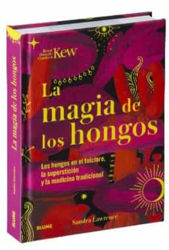 Magia De Los Hongos