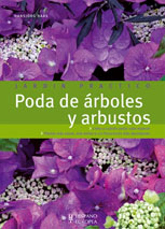 Poda De Arboles Y Arbustos