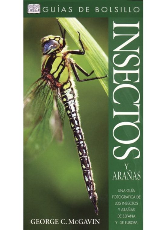 Insectos Y Arañas
