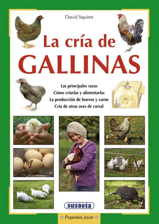 La Cría De Gallinas