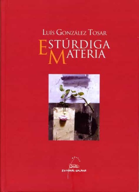 Esturdiga materia