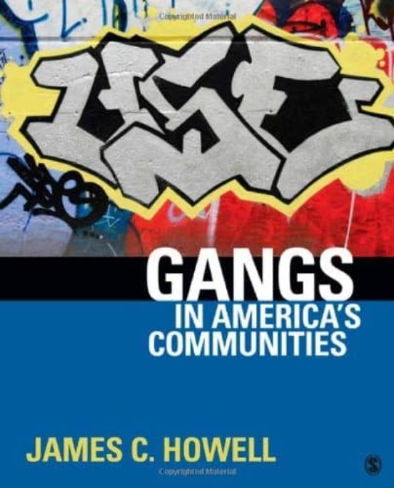 Gangs In America S Communities