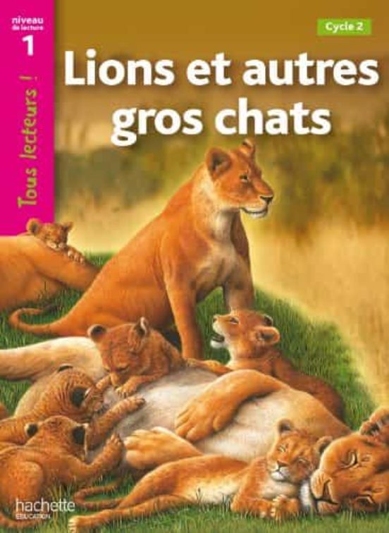 Lions Et Autres Gros Chats