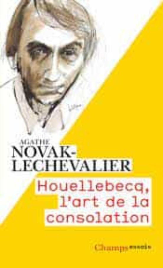 Houellebecq L Art De La Consolation