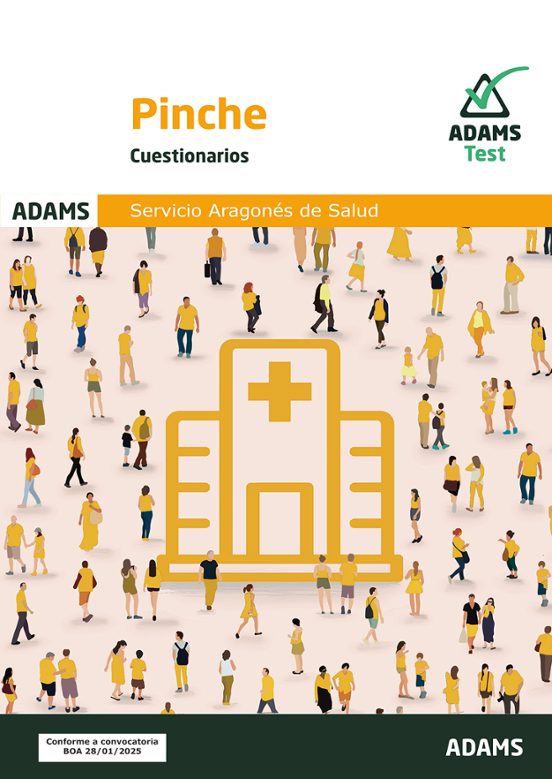 Cuestionario Pinche Del Servicio Aragonés De Salud