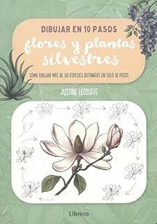 Dibujar Flores Y Plantas Silvestres En 10 Pasos