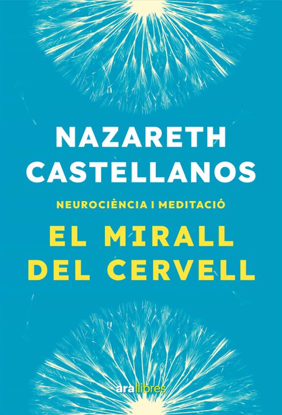 El Mirall Del Cervell
