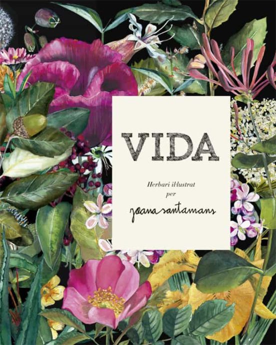 Vida Botanica